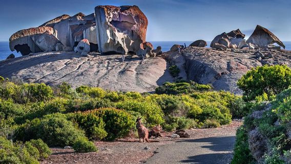 Remarkable Rocks