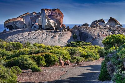 Remarkable Rocks