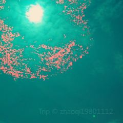SEA STORY User Photo