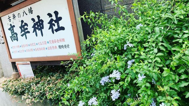 高牟神社