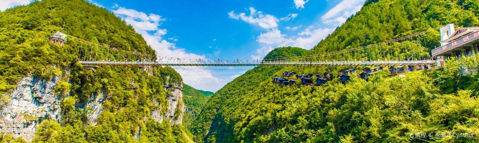 travel