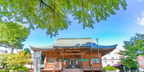 醫王山·飛騨國分寺