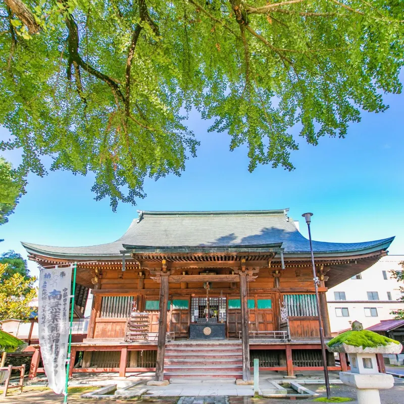 醫王山·飛騨國分寺