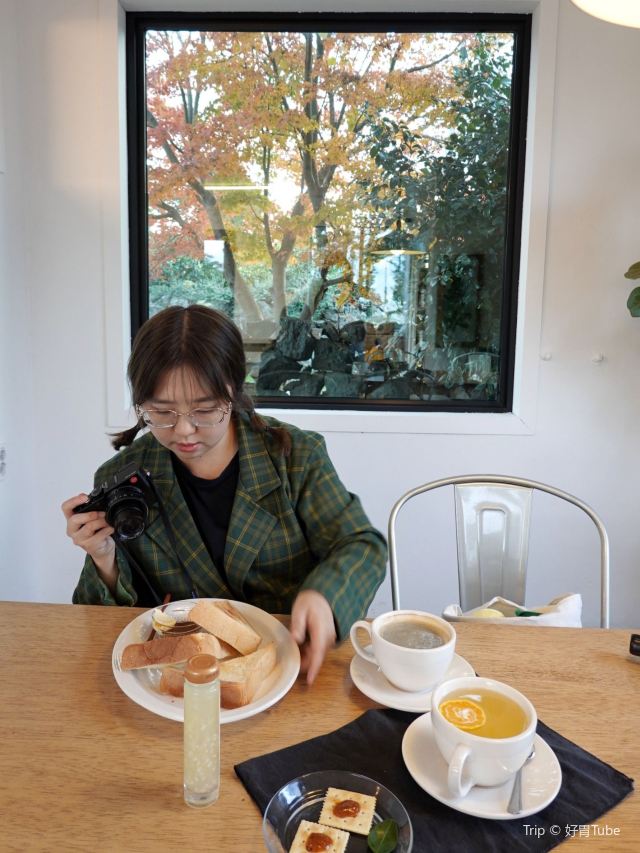 감귤박물관