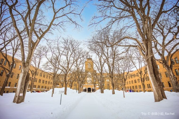 일본 삿포로 축제