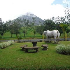 El Novillo del Arenal User Photo