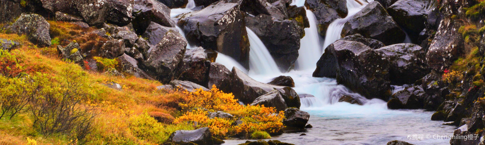 BlaskogabyggdTour Trong Ngày