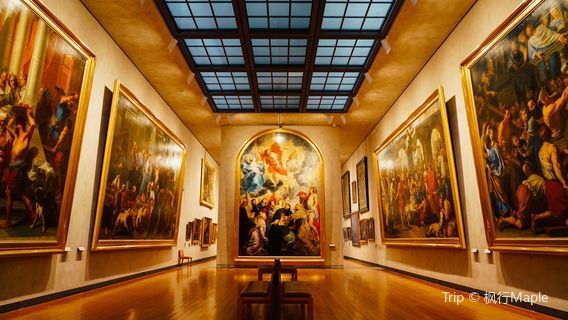 Musée des Beaux-Arts de Lyon