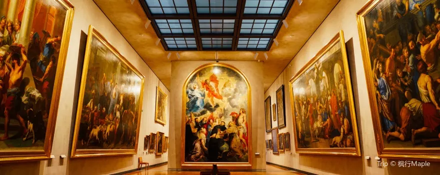 Museo delle Belle Arti di Lyon