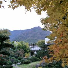 品园度假山庄中餐厅 User Photo