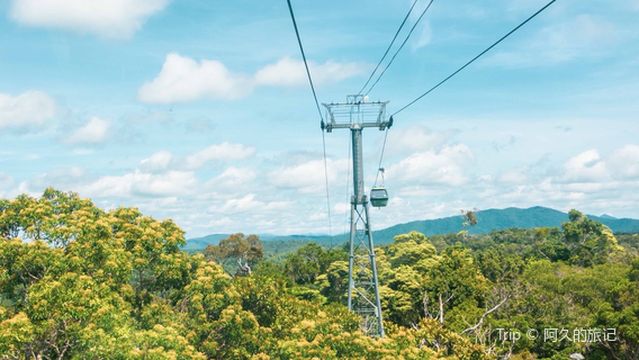 Skyrail Rainforest Cableway