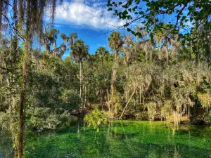 Blue Spring State Park