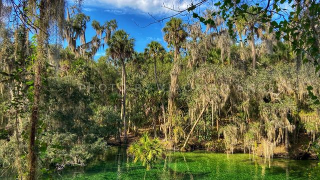 Blue Spring State Park