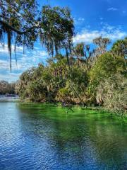 Blue Spring State Park