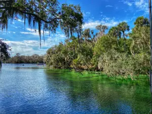 Blue Spring State Park