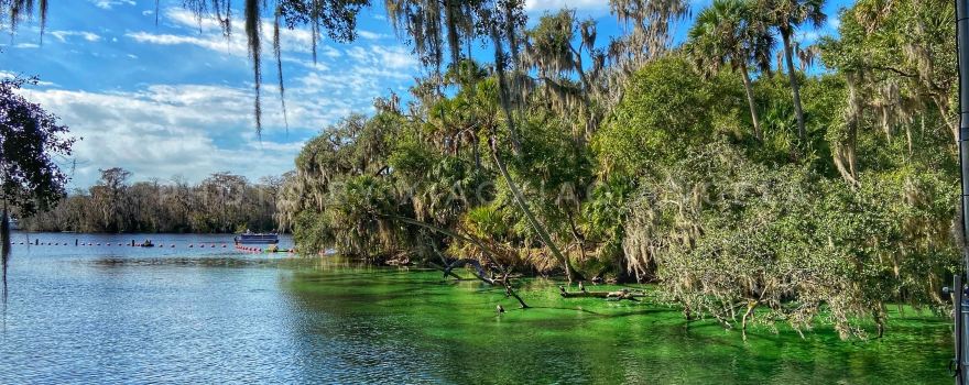 Blue Spring State Park
