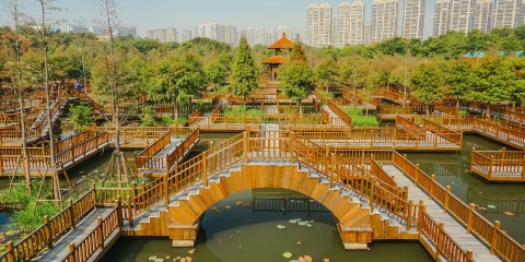 五緣灣濕地公園