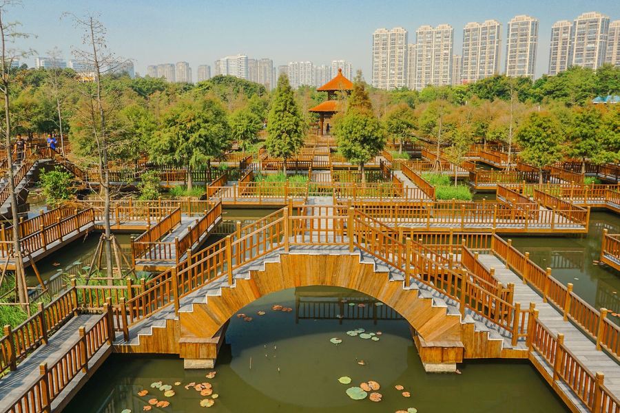 五緣灣濕地公園