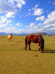 Prairies Horse Riding Field