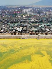 Taihu Fishing Port Village