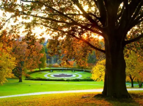 ไฮปาร์ค