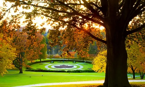 High Park
