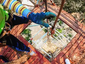 Pongyang Jungle Coaster & Zipline