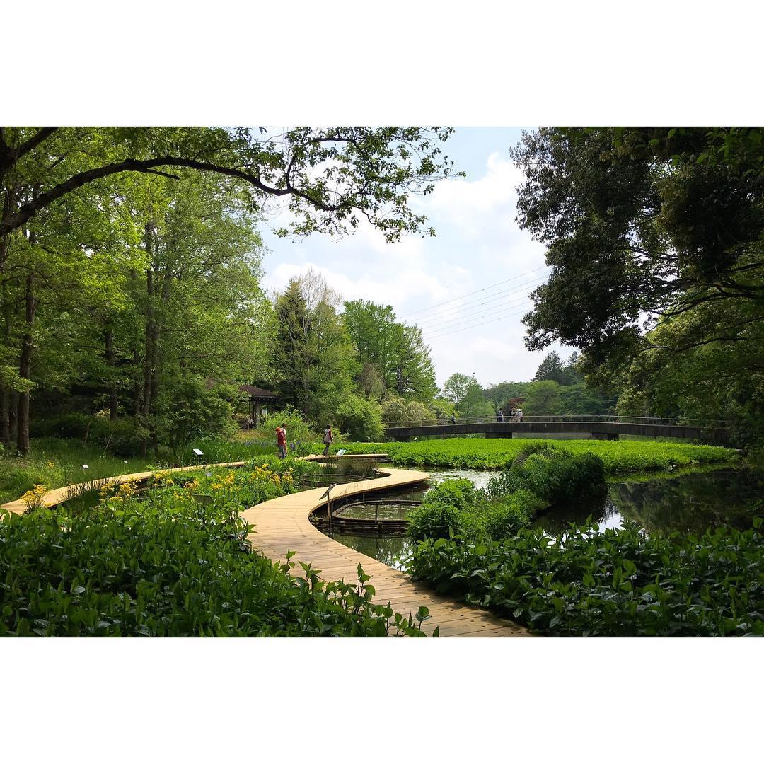 築波実験植物園旅遊攻略指南 築波実験植物園評價 築波実験植物園附近推薦 Trip Com