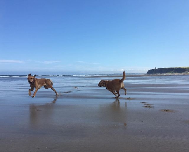 Castlerock Beach