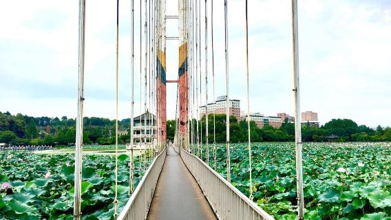 Deokjin Park