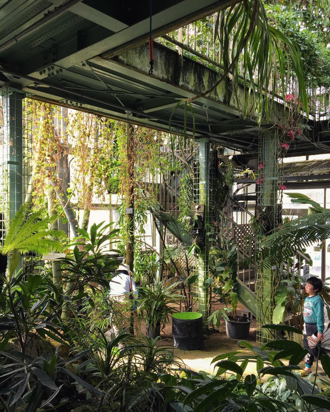 つくば 筑波実験植物園 評判 案内 トリップドットコム