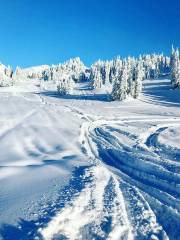 惠斯勒山滑雪場