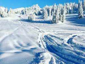 惠斯勒山滑雪場