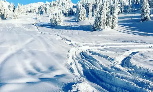 Whistler Mountain