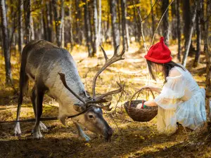Hulunbuir Grasslands
