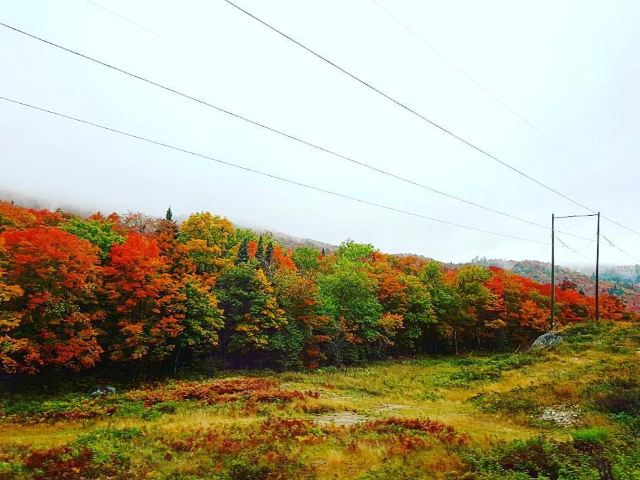 阿格瓦峽谷