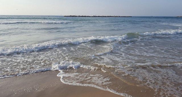 Bograshov Beach