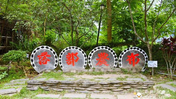 台東