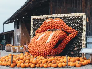 Juckerfarm
