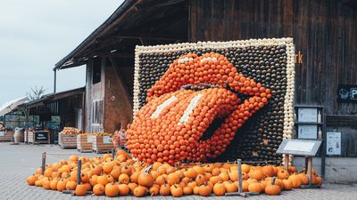Juckerfarm