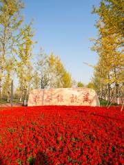 Chaobaihe Zhongyang Park