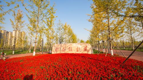 Chaobaihe Zhongyang Park