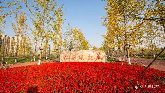 Chaobaihe Zhongyang Park
