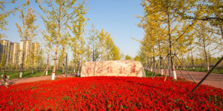 潮白河中央公園