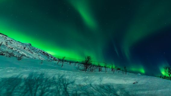 Tromso