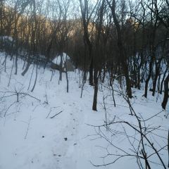 北镇龙岗子生态园 User Photo