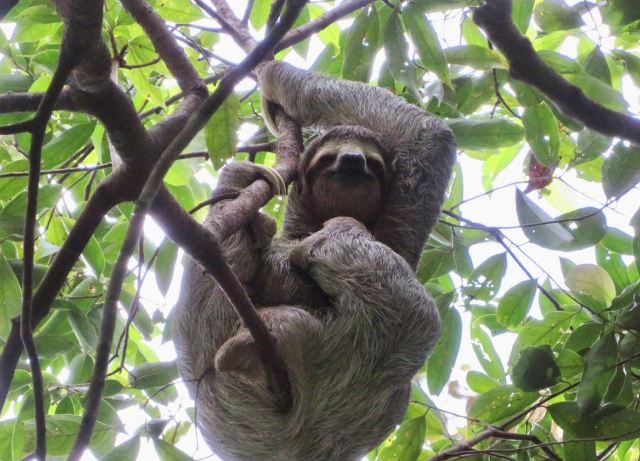 Manuel Antonio National Park