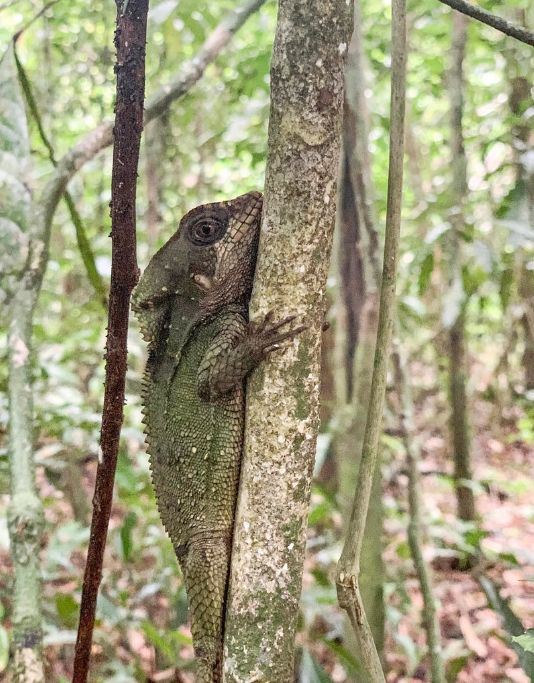 Manuel Antonio National Park