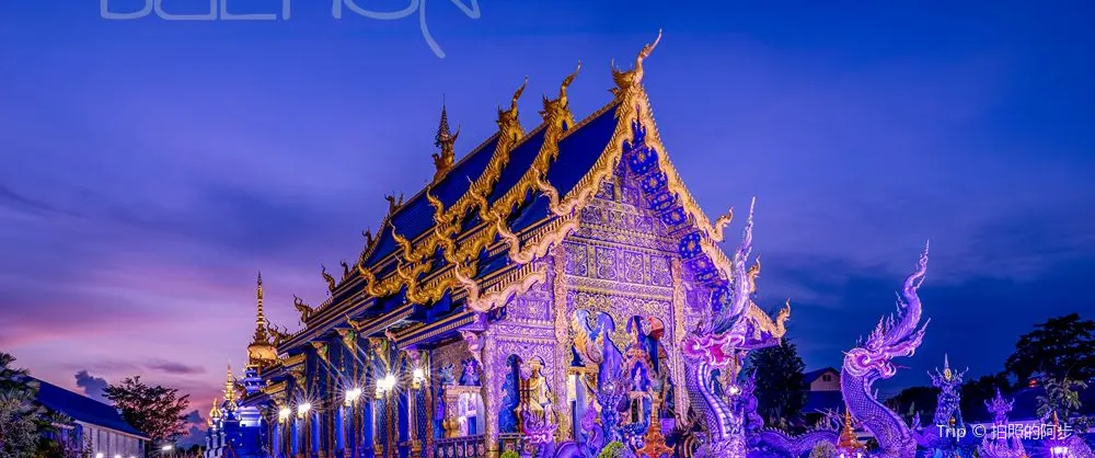 Night Attractions