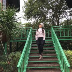 JIN PAI WAN XIAO YU CUN User Photo